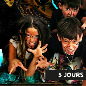 Stage comédie musicale roi lion